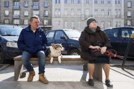 Pies,-kobieta-i-mezczyzna-na-lawce-w-al-Jerozolimskich-w-Warszawie