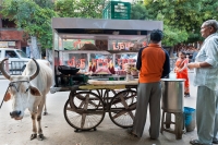Indyjski-fast-food-na-ulicy-w-Jaipur-Indie