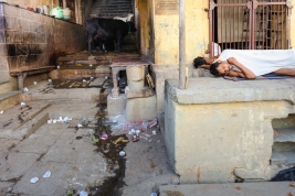 Śpiacy-mezczyzni-i-krowy-na-schodach-w-Varanasi-Indie