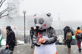 The-volunteer-Panda-of-Wielka-Orkiestra-Åwiatecznej-Pomocy-covered-by-snow-WOÅP-25-Warsaw-201