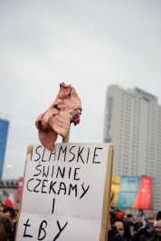 Świnska-glowa-i-transparent-anty-Islamski-podczas-manifestacji-antyimigracyjnej-w-Warszawie-1209201