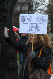 Kobieta-z-transparentem-podczas-manifestacji-PiS-w-Warszawie-20151213